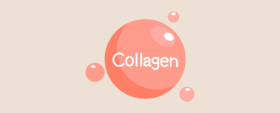 The Collagen Revolution - Know Your Facts